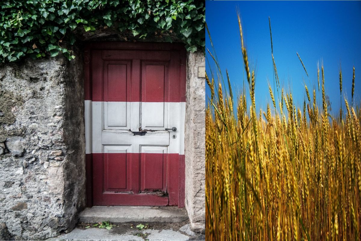 Rot-Weiß-Rot - Karte Plus und Ukraine